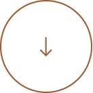 Icon Circle Arrow